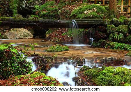 Fukui Prefecture, Japan View Large Photo Image Stock Image - Fukui Prefecture, Japan. Fotosearch