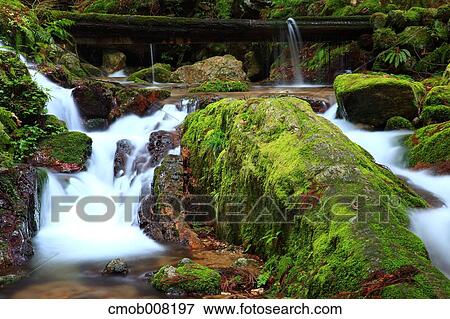 Fukui Prefecture, Japan View Large Photo Image Stock Photo - Fukui Prefecture, Japan. Fotosearch