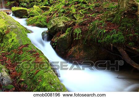 Fukui Prefecture, Japan View Large Photo Image Stock Photograph - Fukui Prefecture, Japan. Fotosearch