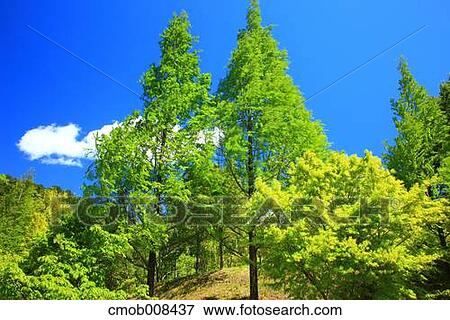 Stock Photo - Gifu Prefecture, Japan. Fotosearch