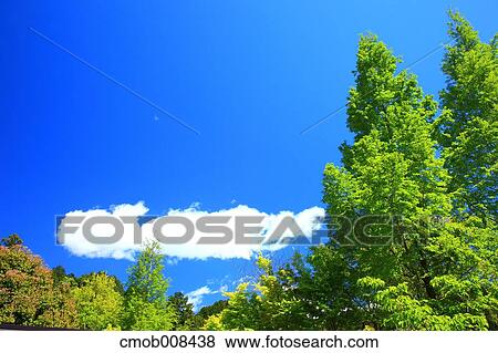 Stock Photo - Gifu Prefecture, Japan. Fotosearch