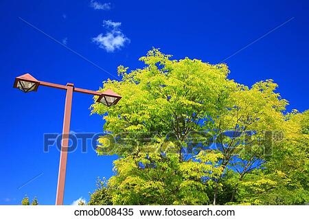 Gifu Prefecture, Japan View Large Photo Image Stock Photography - Gifu Prefecture, Japan. Fotosearch