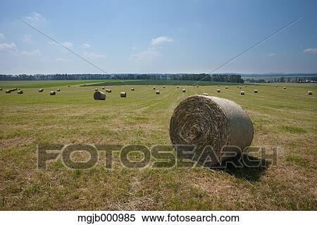 Stock Photography - Grassland and sky. Fotosearch