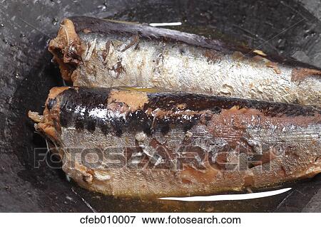 Stock Photo - Grilled Mackerel. Fotosearch