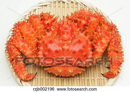 Hanasaki Crab View Large Photo Image Stock Photograph - Hanasaki Crab. Fotosearch