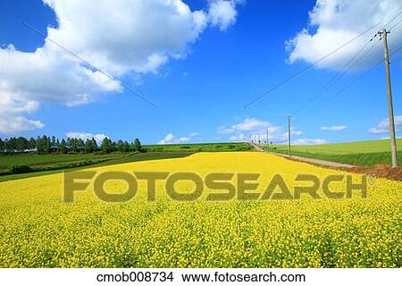 Hokkaido, Japan View Large Photo Image Picture - Hokkaido, Japan. Fotosearch
