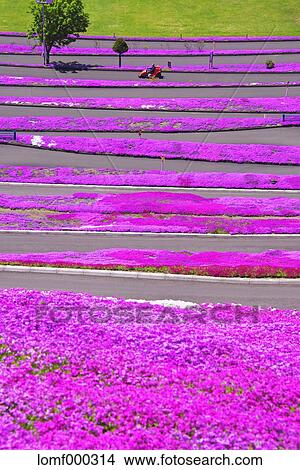 Hokkaido, Japan View Large Photo Image Picture - Hokkaido, Japan. Fotosearch