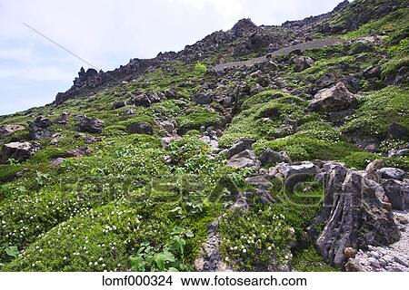 Picture - Hokkaido, Japan. Fotosearch