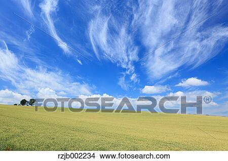 Picture - Hokkaido, Japan. Fotosearch