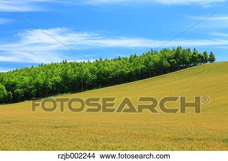 Hokkaido, Japan View Large Photo Image Picture - Hokkaido, Japan. Fotosearch