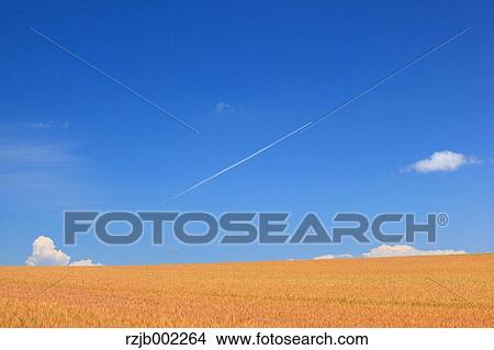 Picture - Hokkaido, Japan. Fotosearch