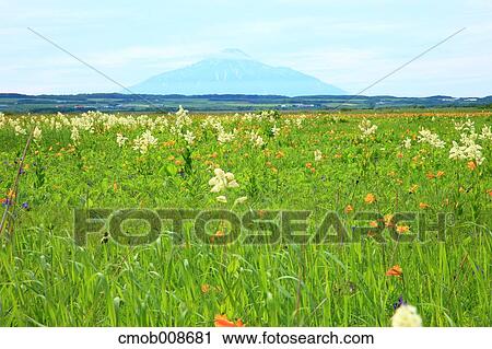 Hokkaido, Japan View Large Photo Image Stock Image - Hokkaido, Japan. Fotosearch