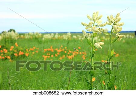 Hokkaido, Japan View Large Photo Image Stock Image - Hokkaido, Japan. Fotosearch