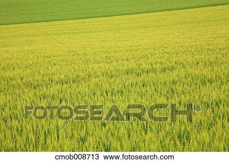 Hokkaido, Japan View Large Photo Image Stock Image - Hokkaido, Japan. Fotosearch
