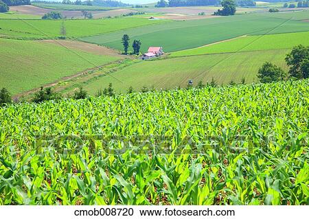 Hokkaido, Japan View Large Photo Image Stock Image - Hokkaido, Japan. Fotosearch