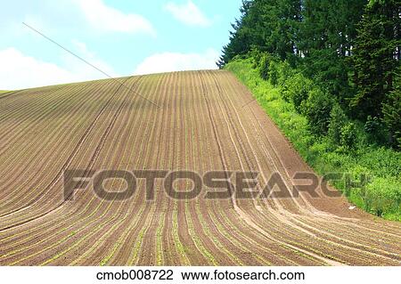 Hokkaido, Japan View Large Photo Image Stock Image - Hokkaido, Japan. Fotosearch