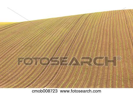 Hokkaido, Japan View Large Photo Image Stock Image - Hokkaido, Japan. Fotosearch
