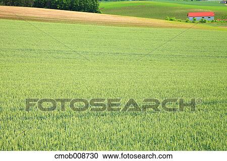 Hokkaido, Japan View Large Photo Image Stock Image - Hokkaido, Japan. Fotosearch