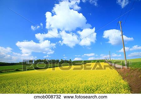Stock Image - Hokkaido, Japan. Fotosearch