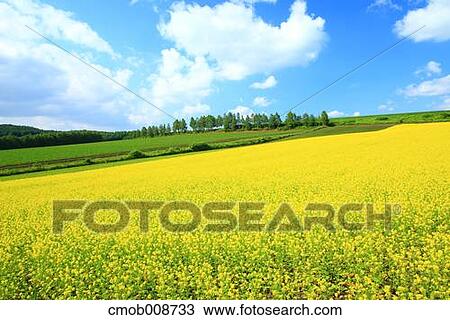 Hokkaido, Japan View Large Photo Image Stock Image - Hokkaido, Japan. Fotosearch