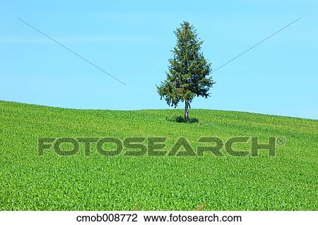 Hokkaido, Japan View Large Photo Image Stock Image - Hokkaido, Japan. Fotosearch