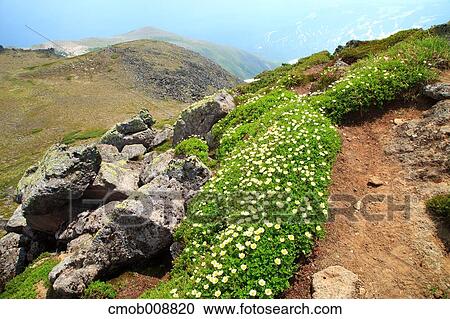 Hokkaido, Japan View Large Photo Image Stock Image - Hokkaido, Japan. Fotosearch
