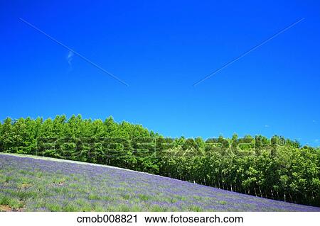 Hokkaido, Japan View Large Photo Image Stock Image - Hokkaido, Japan. Fotosearch