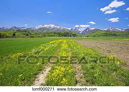 Hokkaido, Japan View Large Photo Image Stock Image - Hokkaido, Japan. Fotosearch