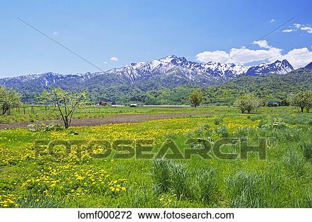 Hokkaido, Japan View Large Photo Image Stock Image - Hokkaido, Japan. Fotosearch