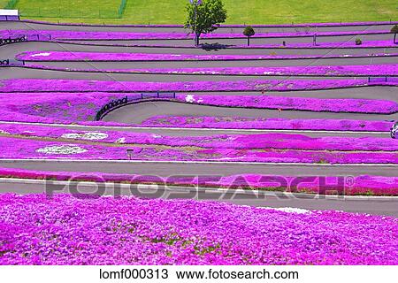 Hokkaido, Japan View Large Photo Image Stock Image - Hokkaido, Japan. Fotosearch