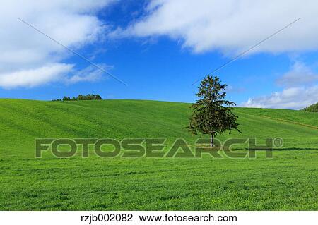 Stock Image - Hokkaido, Japan. Fotosearch