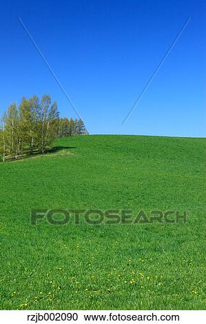 Hokkaido, Japan View Large Photo Image Stock Image - Hokkaido, Japan. Fotosearch