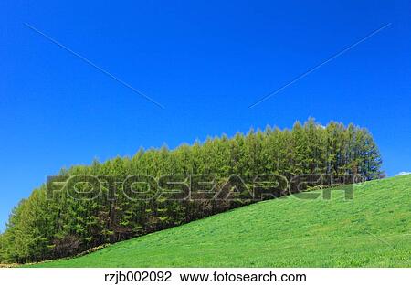 Hokkaido, Japan View Large Photo Image Stock Image - Hokkaido, Japan. Fotosearch