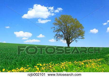 Hokkaido, Japan View Large Photo Image Stock Image - Hokkaido, Japan. Fotosearch