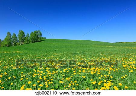 Hokkaido, Japan View Large Photo Image Stock Image - Hokkaido, Japan. Fotosearch