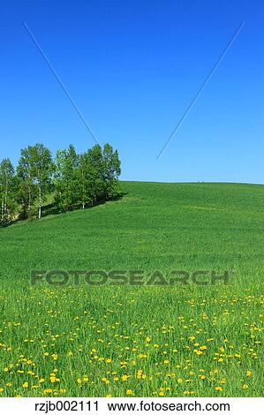 Hokkaido, Japan View Large Photo Image Stock Image - Hokkaido, Japan. Fotosearch