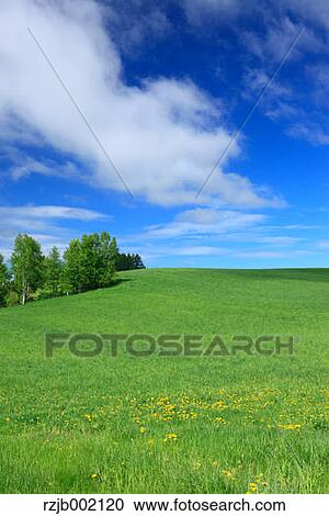 Hokkaido, Japan View Large Photo Image Stock Image - Hokkaido, Japan. Fotosearch