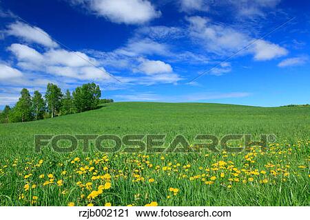 Hokkaido, Japan View Large Photo Image Stock Image - Hokkaido, Japan. Fotosearch