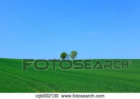 Hokkaido, Japan View Large Photo Image Stock Image - Hokkaido, Japan. Fotosearch