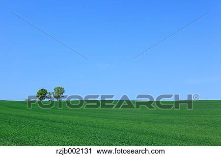 Hokkaido, Japan View Large Photo Image Stock Image - Hokkaido, Japan. Fotosearch