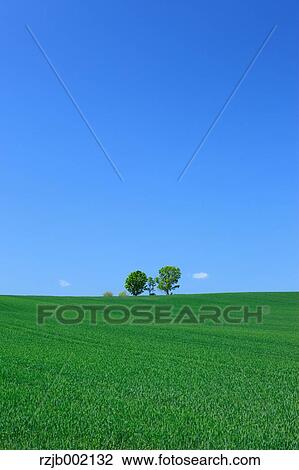 Hokkaido, Japan View Large Photo Image Stock Image - Hokkaido, Japan. Fotosearch