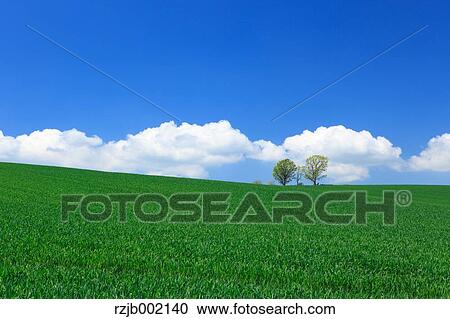 Hokkaido, Japan View Large Photo Image Stock Image - Hokkaido, Japan. Fotosearch