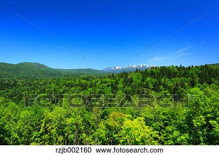Hokkaido, Japan View Large Photo Image Stock Image - Hokkaido, Japan. Fotosearch