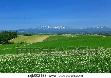 Stock Image - Hokkaido, Japan. Fotosearch