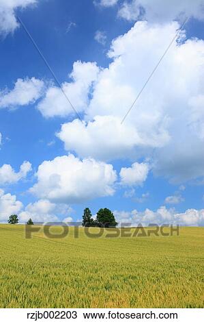 Hokkaido, Japan View Large Photo Image Stock Image - Hokkaido, Japan. Fotosearch