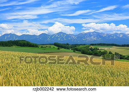 Hokkaido, Japan View Large Photo Image Stock Image - Hokkaido, Japan. Fotosearch