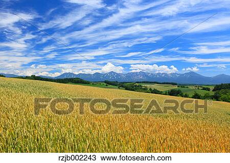 Hokkaido, Japan View Large Photo Image Stock Image - Hokkaido, Japan. Fotosearch