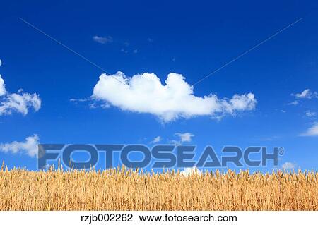 Stock Image - Hokkaido, Japan. Fotosearch