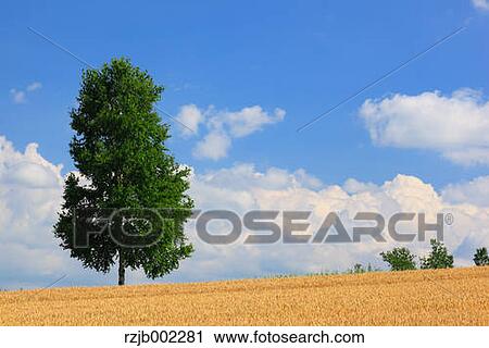 Hokkaido, Japan View Large Photo Image Stock Image - Hokkaido, Japan. Fotosearch