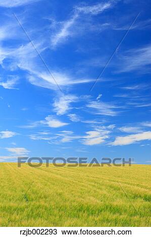 Hokkaido, Japan View Large Photo Image Stock Image - Hokkaido, Japan. Fotosearch